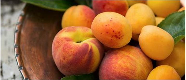 Apricot peach plum